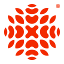 光彩村枸杞